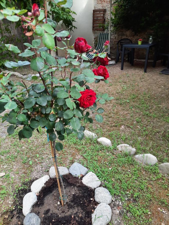 Au Jardin De Florence Panzió Kültér fotó