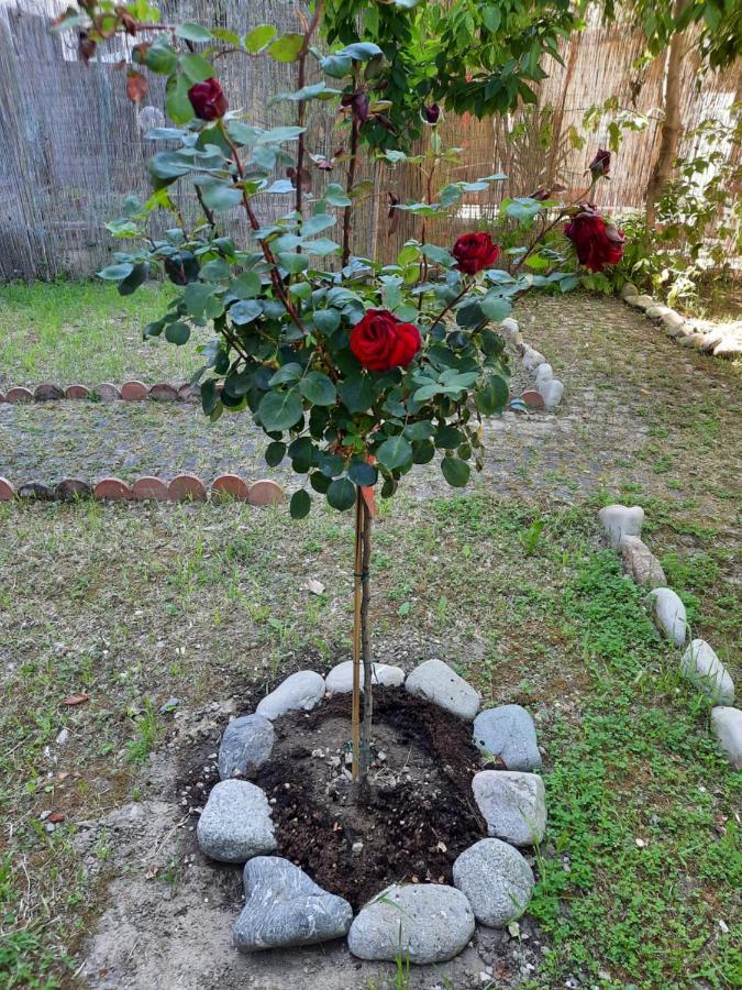 Au Jardin De Florence Panzió Kültér fotó